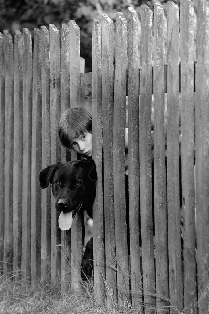 Черно-белая идиллия 