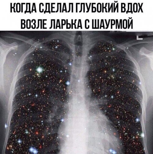 Прикольные фотомемы (25 шт)