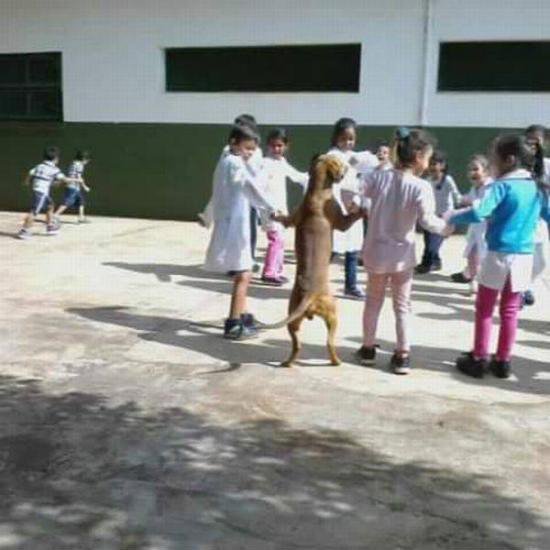 ПОЗИТИВНЫЙ ПОСТ+ 411