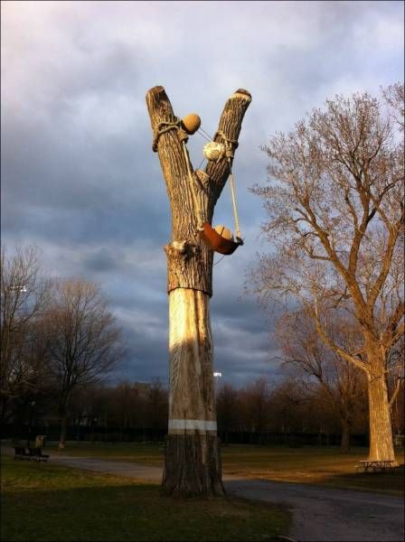 Подборка картинок. Вечерний выпуск (57 фото)