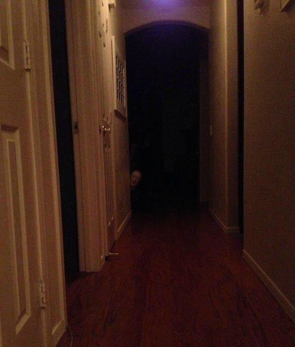 Фото приколы из реальной жизни Прикольные картинки с надписями, Смешные прикольные картинки, демотиваторы, фото приколы