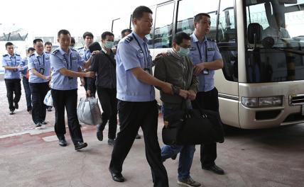 «Охота на лис»: китайский опыт, крайне необходимый России