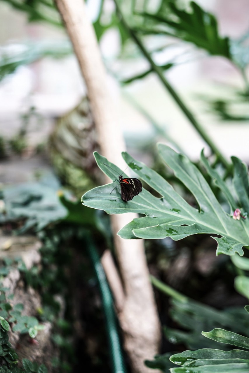 Seattle Washington Pacific Science Center-27.jpg