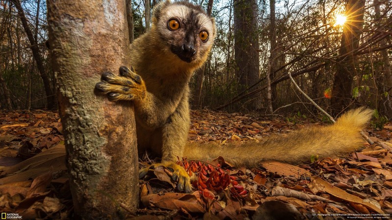 National Geographic выбрал лучшие фото путешественников: 33 шикарных кадра путешествия