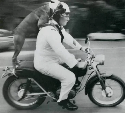 Кэти соблюдает закон о наличии шлема на голове во время езды на мотоцикле с Франклином Дрисколлом на Гавайях