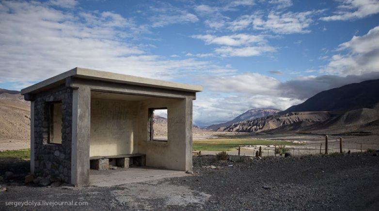 Пожалуй, лучшая автобусная остановка в мире