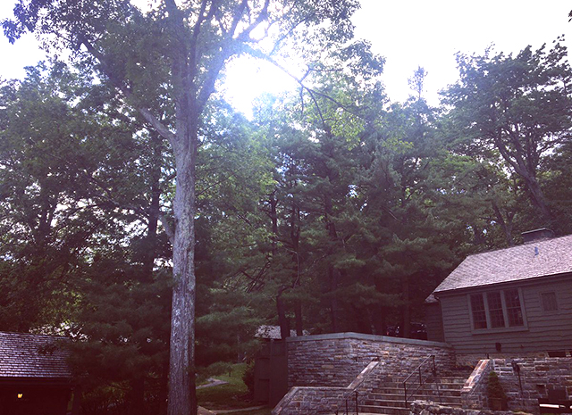 Резиденция