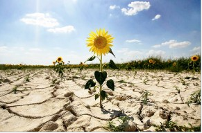 Россию предупредили о тепловой угрозе экономике