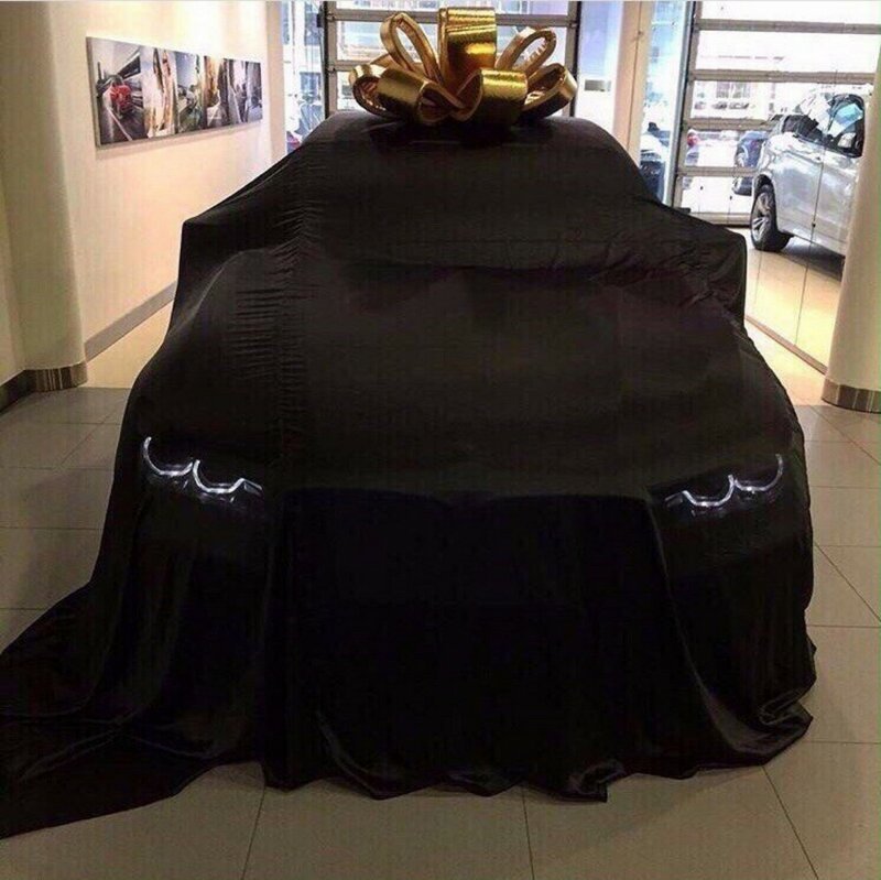 Добрый вечер! Добрый вечер! веселые картинки,юмор