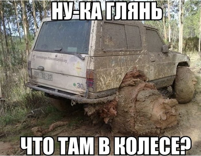 Картинки по запросу фото приколы ржачные