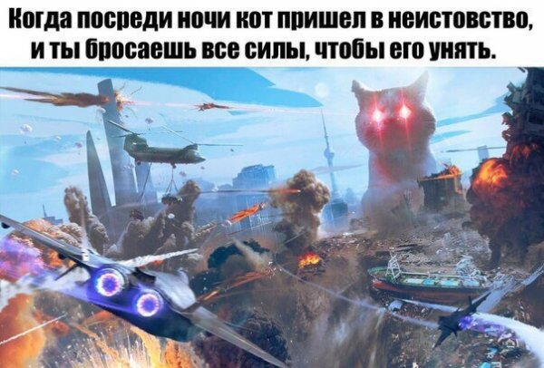 Нестандартный юмор :)