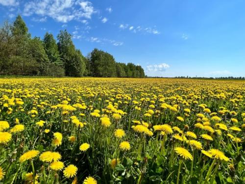 Многие в эти дни наблюдали за поисками детей Вики и Гриши.