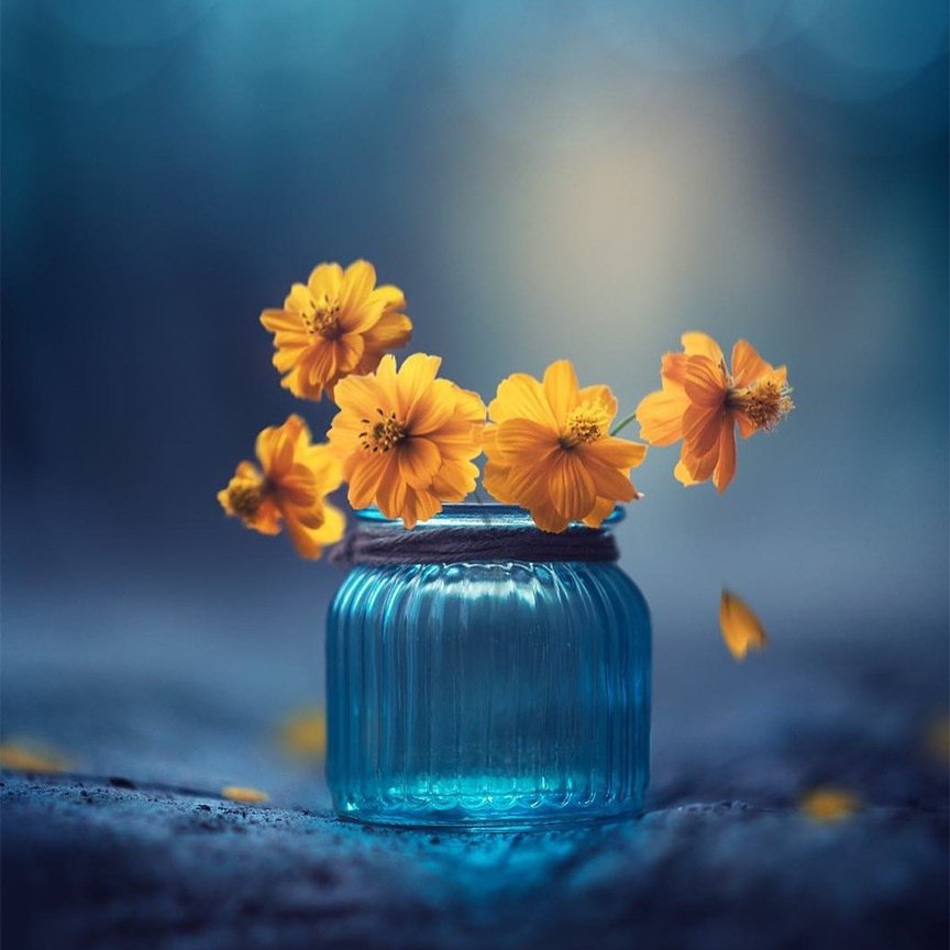 Дo вeсны — 5 днeй. Pacцвeтaйтe ужe 