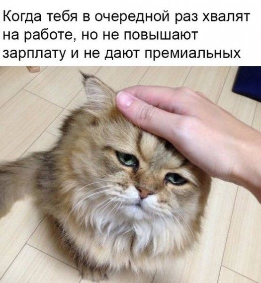 Смешные картинки и приколы Смешные картинки и приколы