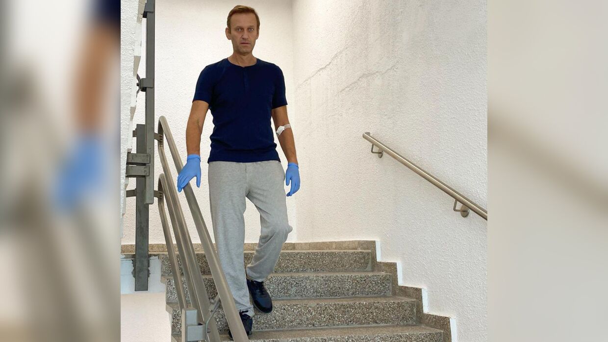 Стоимость лечения Навального в «Шарите» может составлять 16 млн рублей