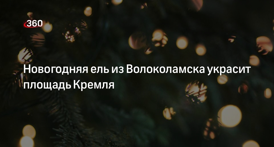 Новогодняя ель из Волоколамска украсит площадь Кремля