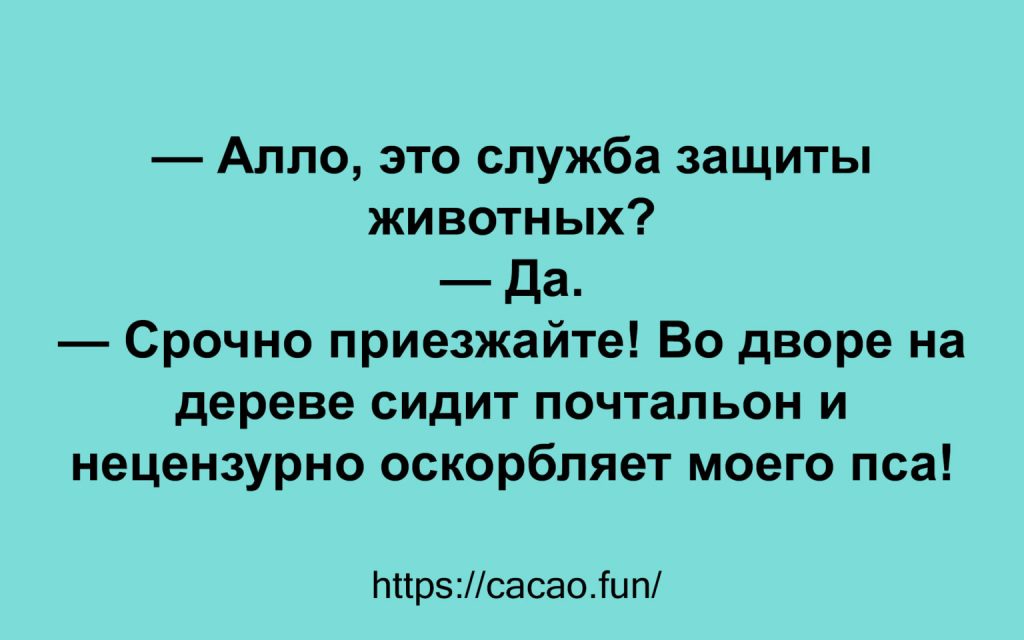 Шутки, анекдоты и истории в свежей подборке 