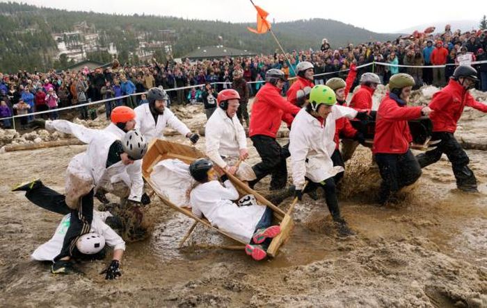 Свежие фото приколы и веселые картинки для настроения (11 фото)