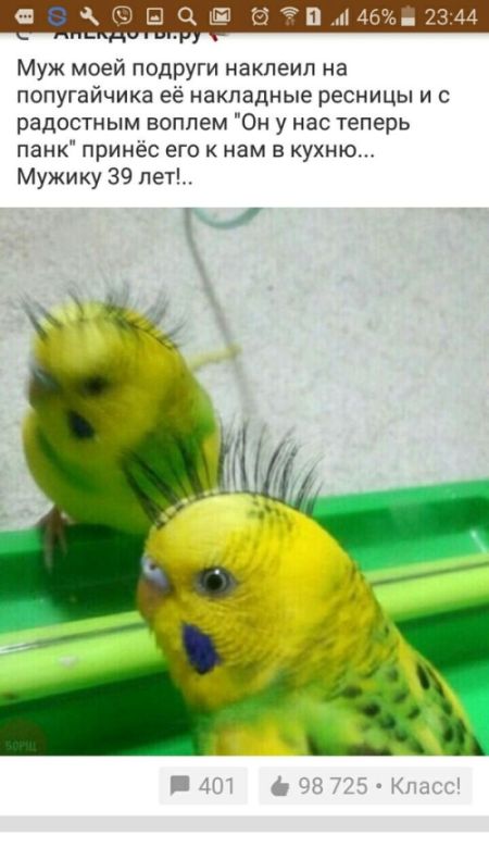 Прикольные картинки скрасят понедельник (40 шт)