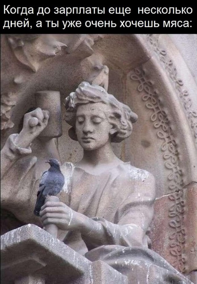 Юмор для тех, кто уже повзрослел и понял, что «праздник» — это когда не звонили с работы 