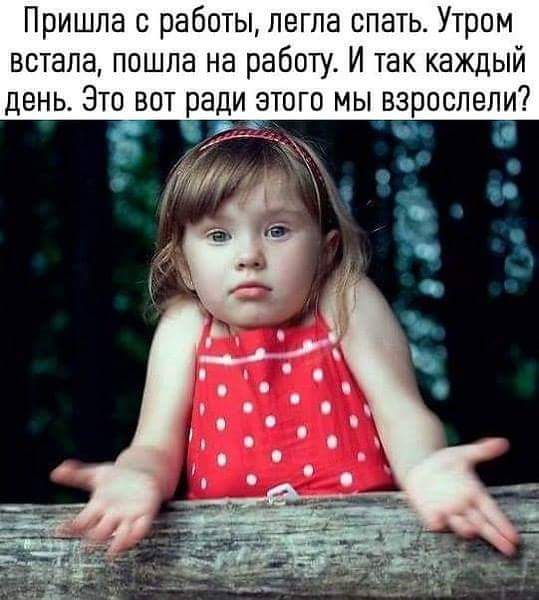 Почему до сих пор никто не пишет номер транспорта внутри? Вы думаете я такой уверенный куда я сел? Почему до сих пор никто не пишет номер транспорта внутри? Вы думаете я такой уверенный куда я сел? веселые картинки,приколы,юмор