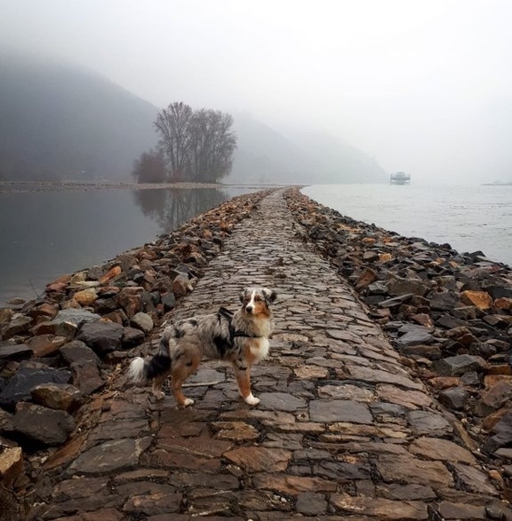 20 фотографий, на которых запечатлено то, с чем раньше вы никогда не сталкивались Фотография