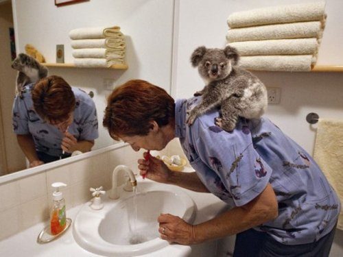 Только позитивные эмоции 