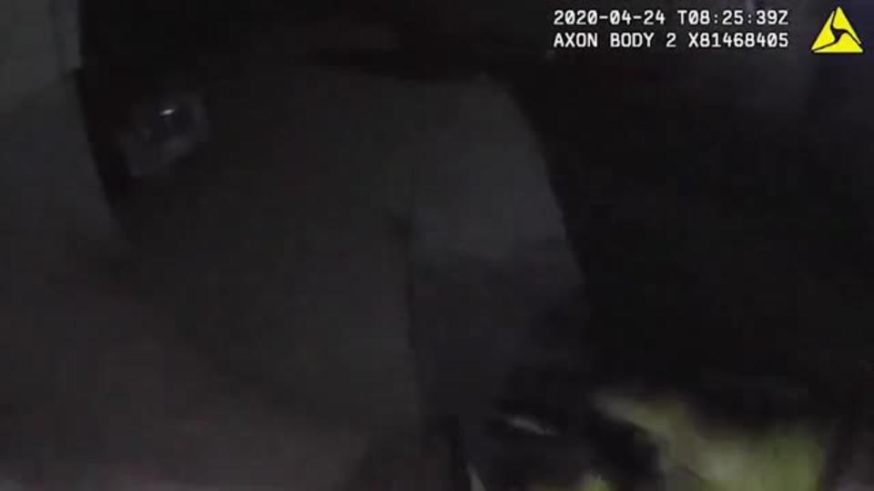 Видео: полицейский в США натравил собаку на темнокожего мужчину
