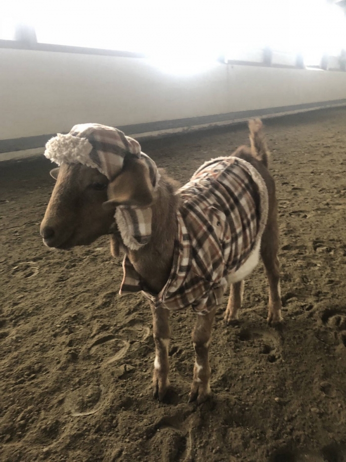 Фотоподборка 