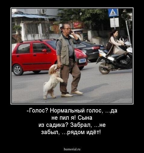 Забирал папаша из садика ребенка