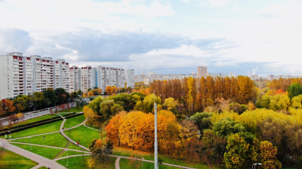 Бабушкинский р н. Бабушкинский район Москва. Район метро Бабушкинская Москва. Район метро Бабушкинская Москва район Бабушкинский. Бабушкинский парк Москва.