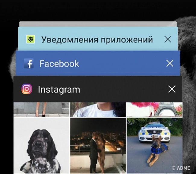 10 ,         .