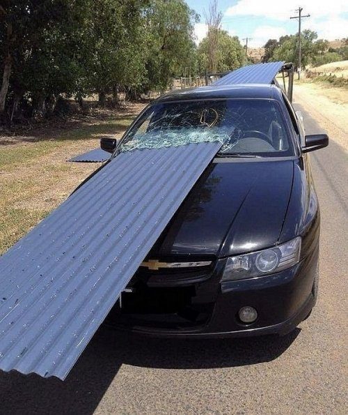 Так выглядит везение! Так выглядит везение!