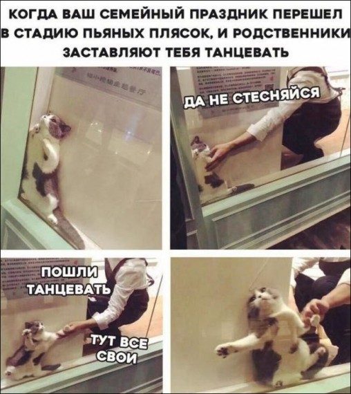 Смешные картинки и приколы Смешные картинки и приколы