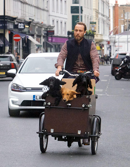 У брата Кейт Миддлтон украли уникальный велосипед, на котором он перевозил пять своих собак Монархи,Британские монархи