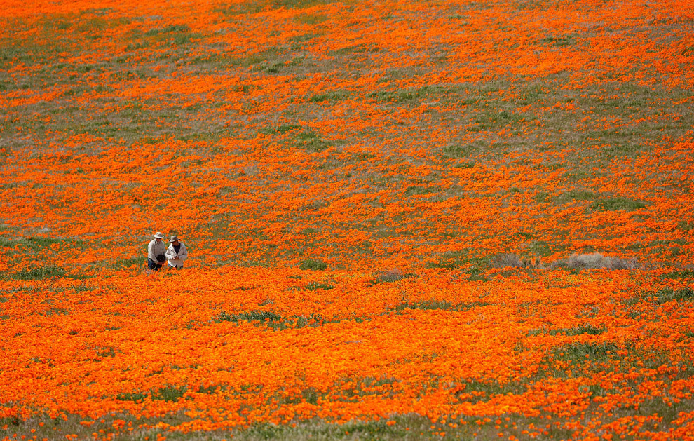 Весна 2019 Весна 2019