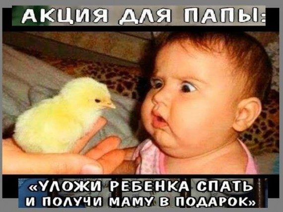 Смешные картинки и приколы Смешные картинки и приколы