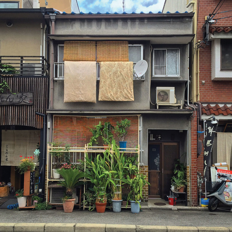 Растения в горшках архитектура, дома, здания, киото, маленькие здания, местный колорит, фото, япония