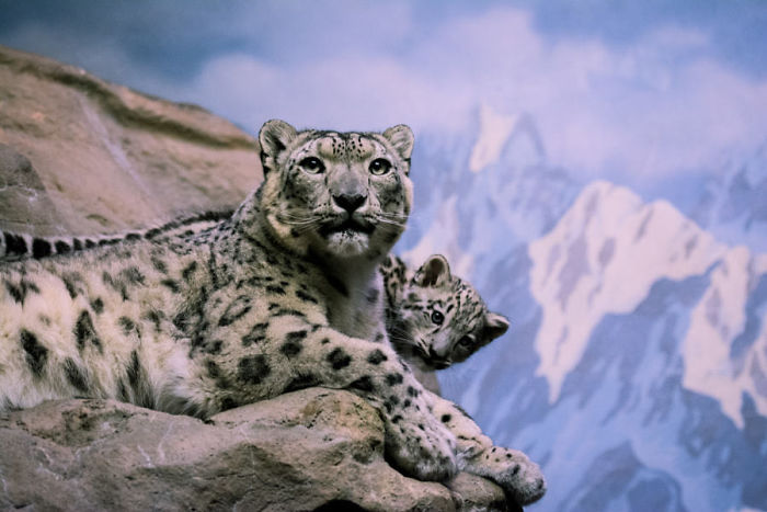 Mama And Son