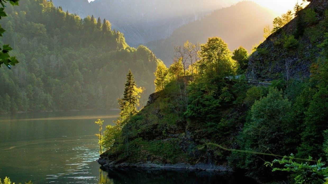 Российское законодательство запретит вывоз круглого леса за границу