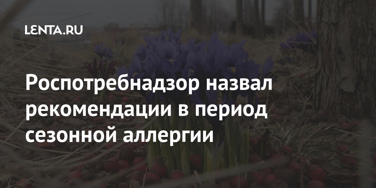 Роспотребнадзор назвал рекомендации в период сезонной аллергии Роспотребнадзор назвал рекомендации в период сезонной аллергии заболевание, обострения, поллиноз, глава, ведомства, нужно, период, Людям, аллергической, основных, Среди, пыльцу, реакцией, добавили, характеризуется, которое, насморк, также, Роспотребнадзоре, врачуВ