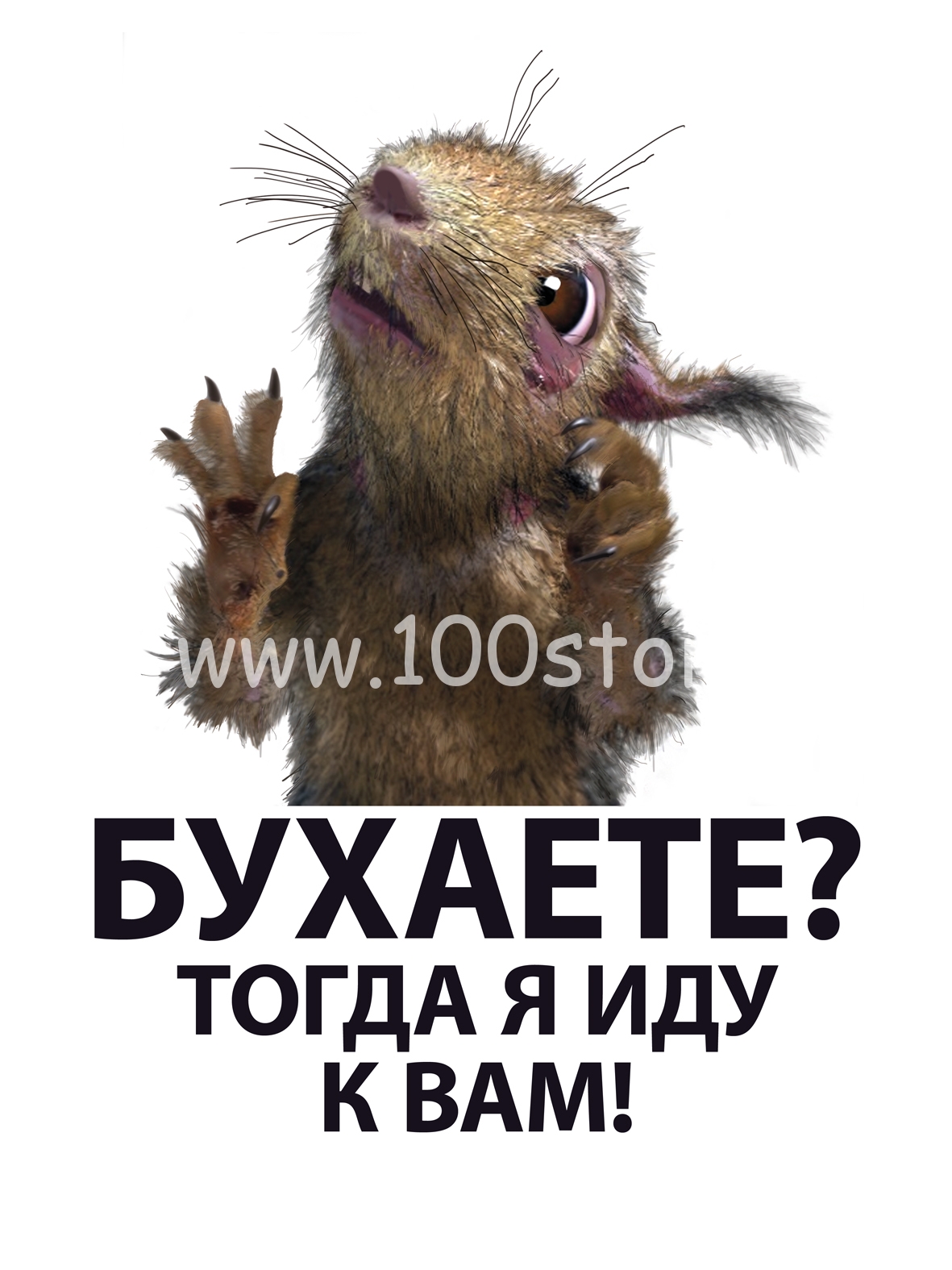 Белка после праздников