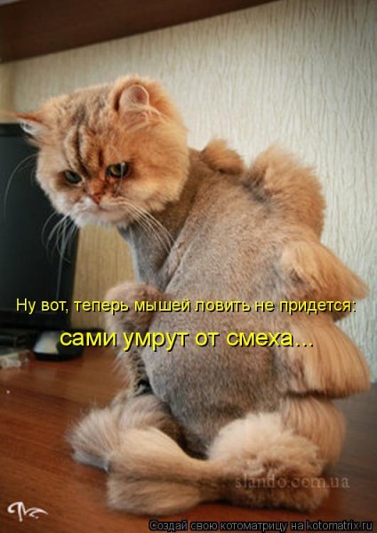 Мысли вслух :)