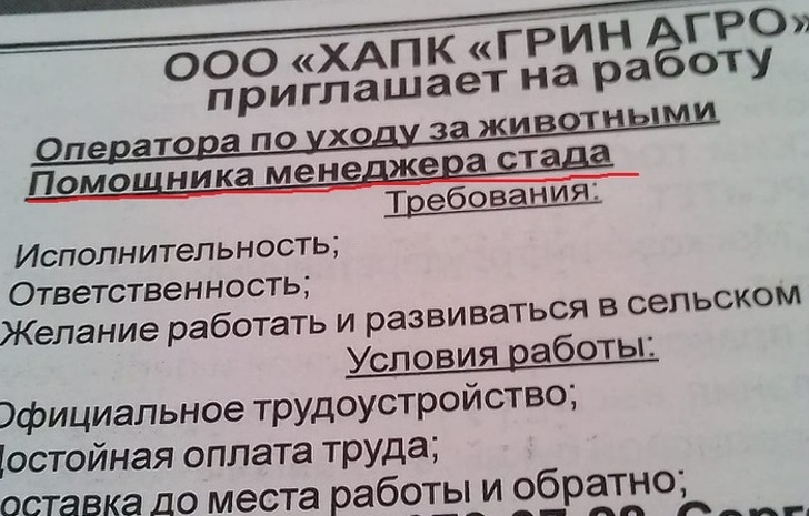 18 смешных объявлений, которые непредсказуемы, как жизнь в России 