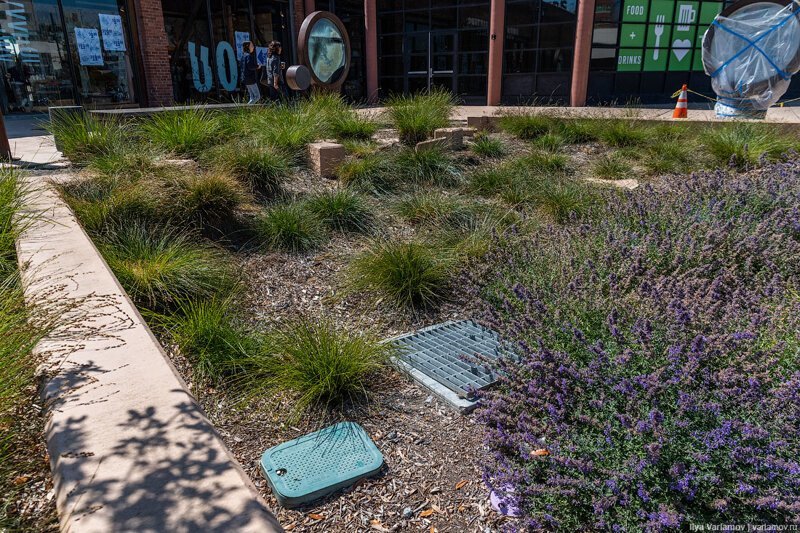 Как американцы проектируют улицы Как американцы проектируют улицы