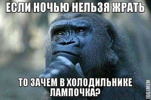 Утро понедельника в животном саду веселые картинки,животные,позитив,Смешные животные