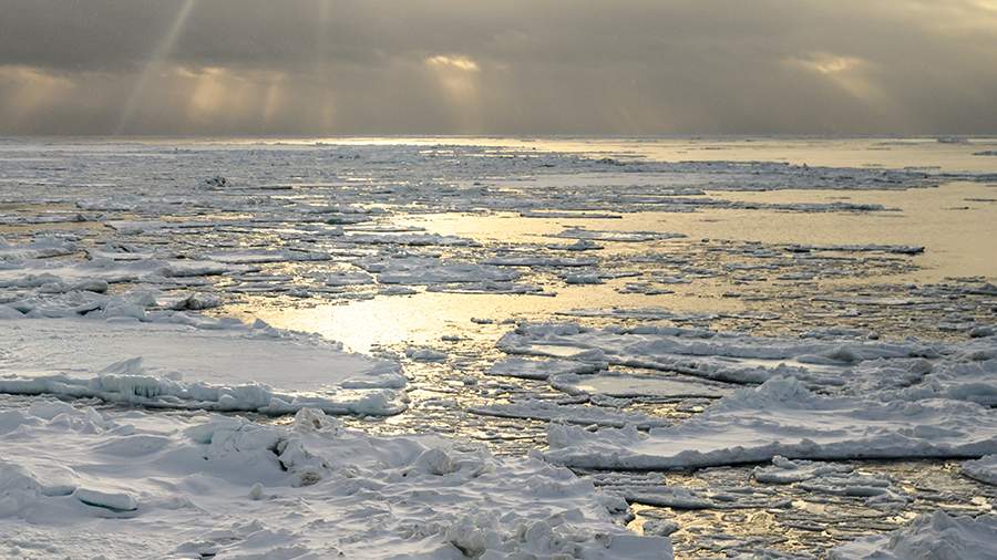 В Приморье оторвалась от берега льдина с 40 рыбаками