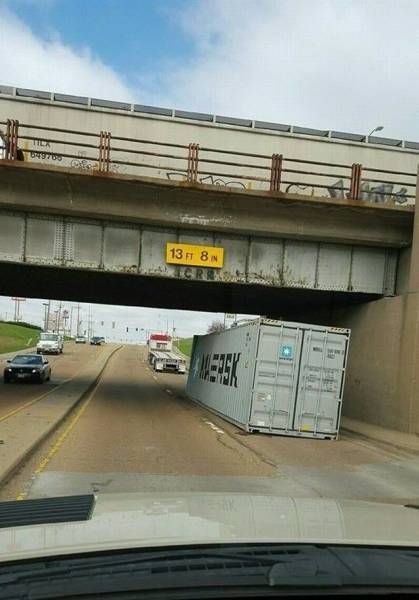 Подборка картинок. Дневной выпуск (51 фото)