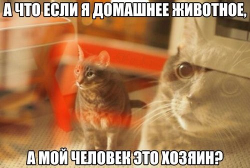 Прикольные и очень прикольные картинки (54 шт)