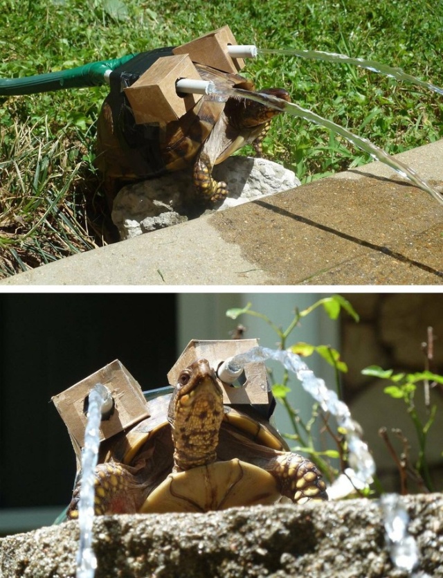 Прикольные картинки и забавные фото приколы из нашей жизни со смыслом красивые фотографии,приколы,фото приколы,шикарные фотографии,юмор